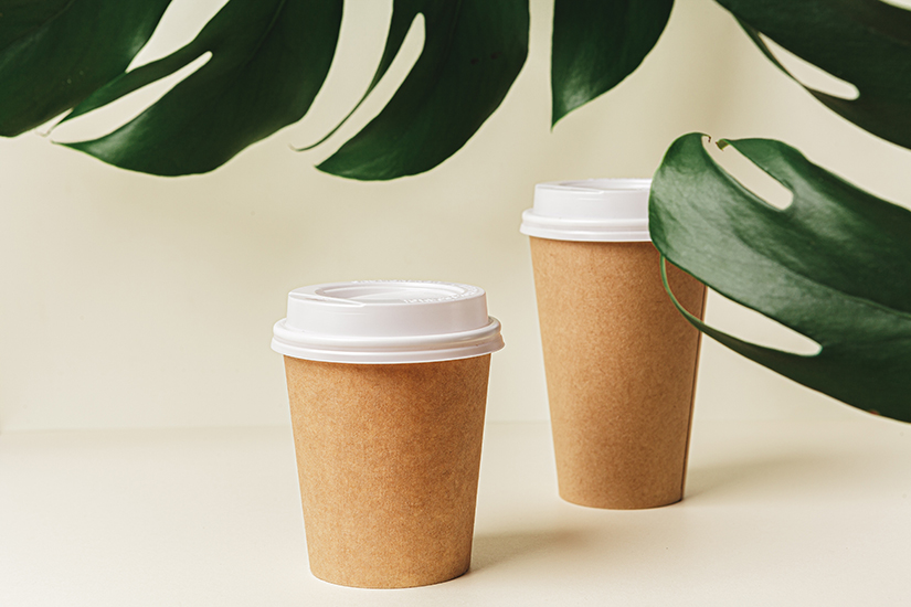 Disposable paper coffee cup and green leaf